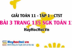 Giải bài 3 trang 135 Toán 11 tập 1 SGK Chân trời sáng tạo